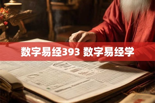 数字易经393 数字易经学