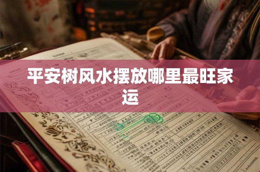 平安树风水摆放哪里最旺家运