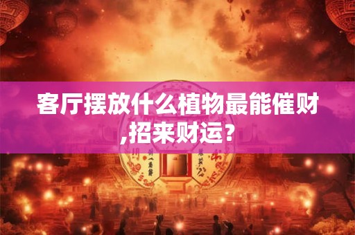 客厅摆放什么植物最能催财,招来财运？