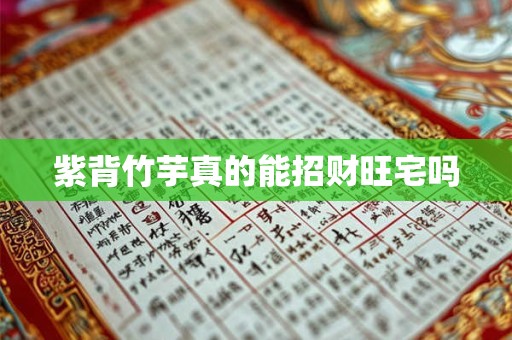 紫背竹芋真的能招财旺宅吗