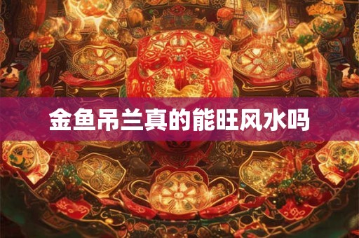 金鱼吊兰真的能旺风水吗