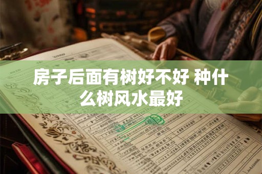 房子后面有树好不好 种什么树风水最好