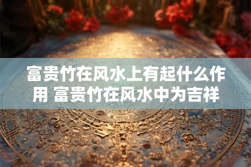 富贵竹在风水上有起什么作用 富贵竹在风水中为吉祥之物