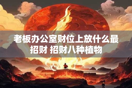 老板办公室财位上放什么最招财 招财八种植物