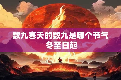 数九寒天的数九是哪个节气 冬至日起