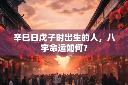 辛巳日戊子时出生的人，八字命运如何？