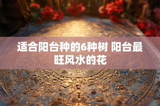 适合阳台种的6种树 阳台最旺风水的花