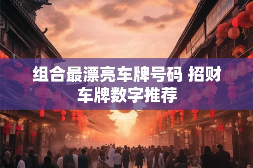 组合最漂亮车牌号码 招财车牌数字推荐
