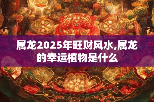 属龙2025年旺财风水,属龙的幸运植物是什么