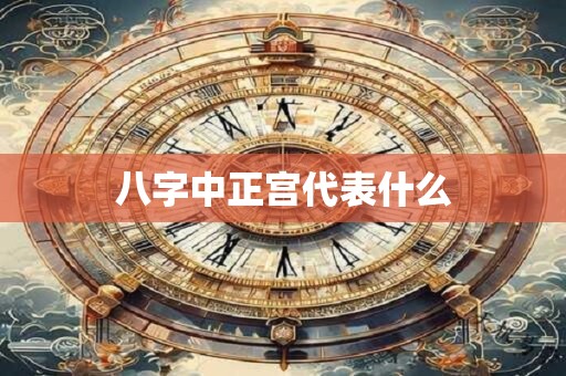 八字中正宫代表什么