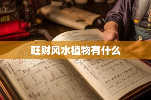 旺财风水植物有什么