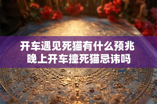 开车遇见死猫有什么预兆 晚上开车撞死猫忌讳吗
