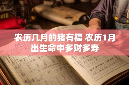 啥样的八字长得漂亮
