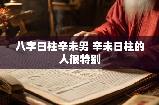 八字日柱辛未男 辛未日柱的人很特别