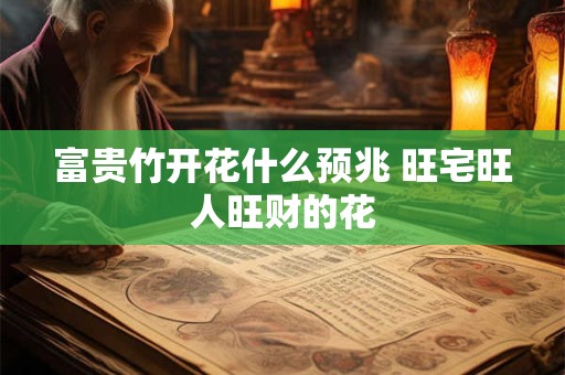 富贵竹开花什么预兆 旺宅旺人旺财的花