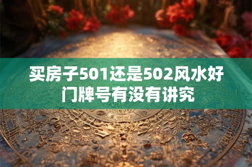 买房子501还是502风水好 门牌号有没有讲究