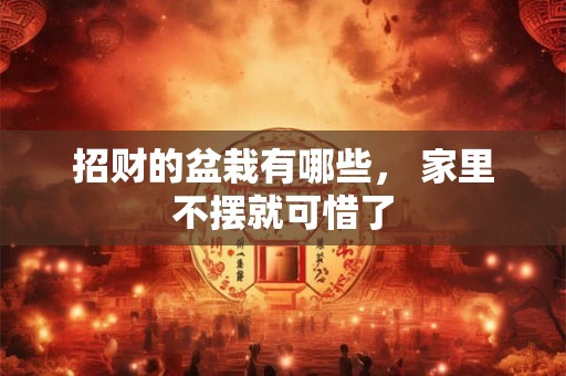 招财的盆栽有哪些， 家里不摆就可惜了