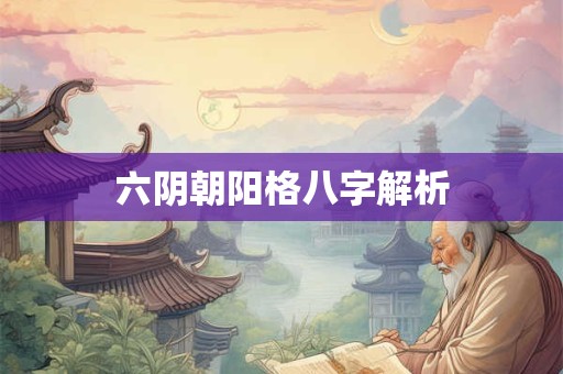 六阴朝阳格八字解析