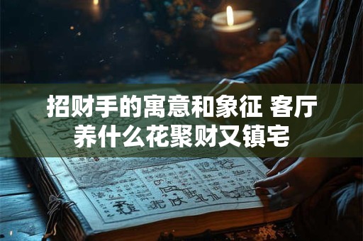 招财手的寓意和象征 客厅养什么花聚财又镇宅