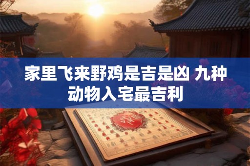 属马的幸运数字是啥