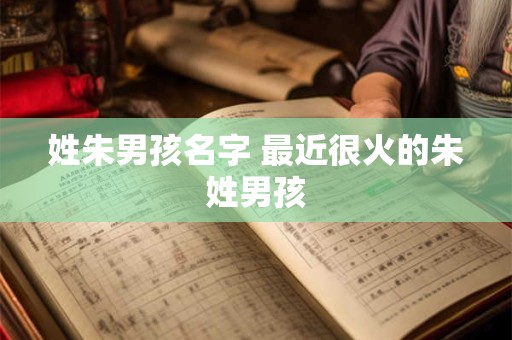 姓朱男孩名字 最近很火的朱姓男孩