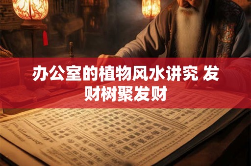 办公室的植物风水讲究 发财树聚发财