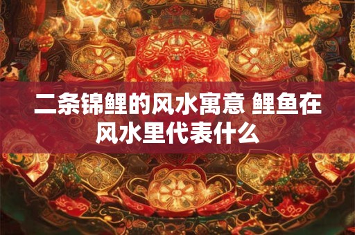 二条锦鲤的风水寓意 鲤鱼在风水里代表什么