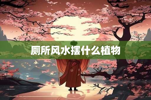 厕所风水摆什么植物