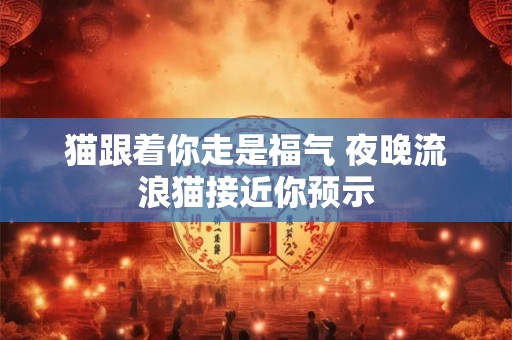 猫跟着你走是福气 夜晚流浪猫接近你预示