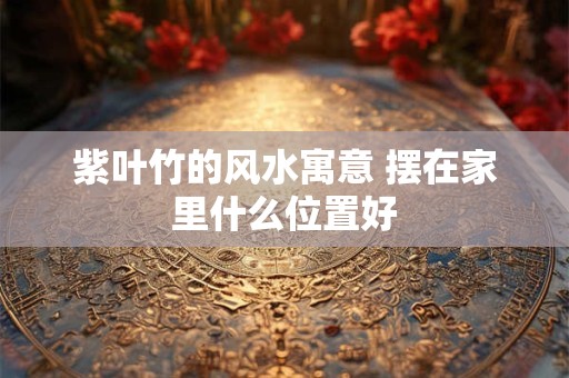 紫叶竹的风水寓意 摆在家里什么位置好