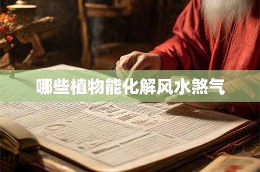 哪些植物能化解风水煞气