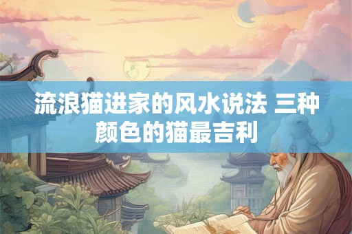 流浪猫进家的风水说法 三种颜色的猫最吉利