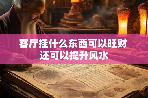 客厅挂什么东西可以旺财 还可以提升风水
