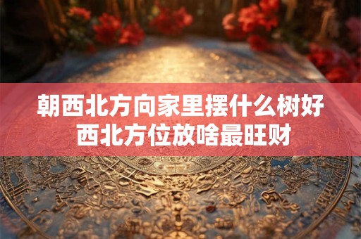 朝西北方向家里摆什么树好 西北方位放啥最旺财