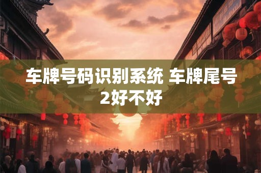 车牌号码识别系统 车牌尾号2好不好
