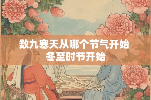 数九寒天从哪个节气开始 冬至时节开始