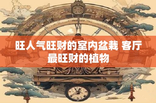 旺人气旺财的室内盆栽 客厅最旺财的植物
