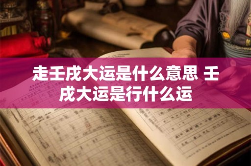 走壬戌大运是什么意思 壬戌大运是行什么运