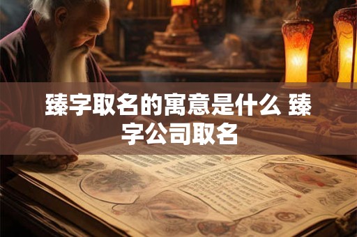 臻字取名的寓意是什么 臻字公司取名