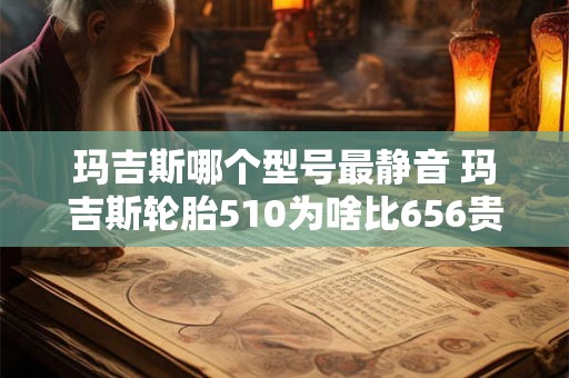 玛吉斯哪个型号最静音 玛吉斯轮胎510为啥比656贵么