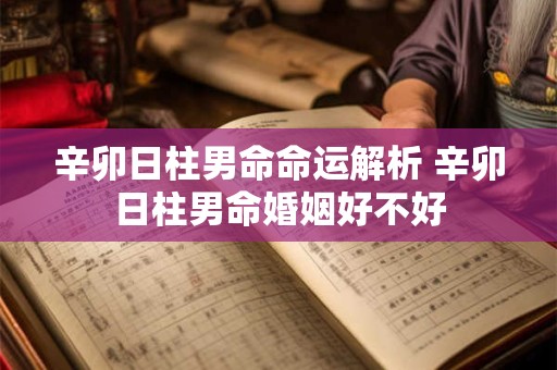 辛卯日柱男命命运解析 辛卯日柱男命婚姻好不好