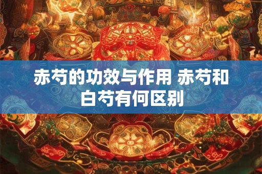 财神开光喜事来，隐态世界本不虚（一）