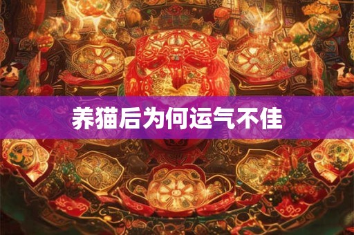 过年不回家的人只有两种人 2025过年倒计时