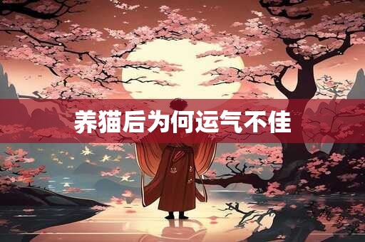 养猫后为何运气不佳