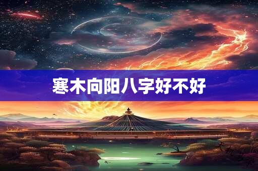 美如仙巨蟹女最合适什么朝代的服饰