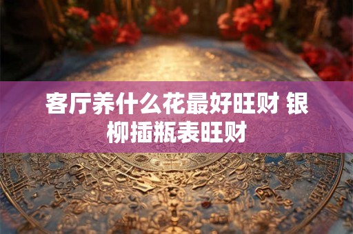 客厅养什么花最好旺财 银柳插瓶表旺财