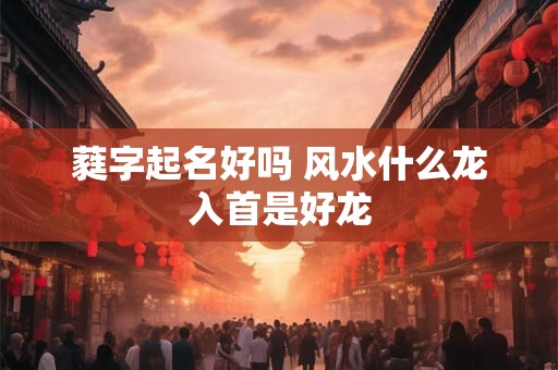 蕤字起名好吗 风水什么龙入首是好龙