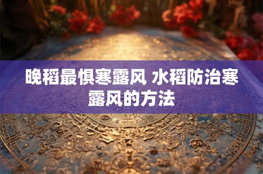 晚稻最惧寒露风 水稻防治寒露风的方法