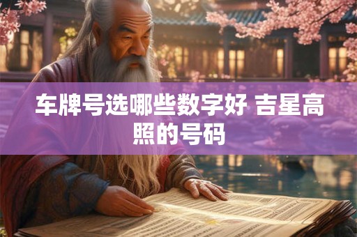 车牌号选哪些数字好 吉星高照的号码