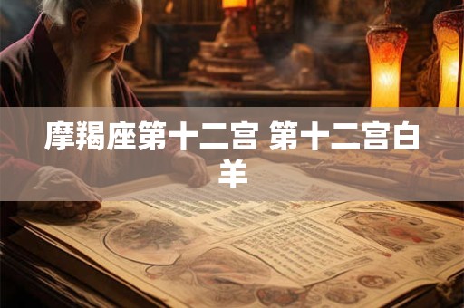 摩羯座第十二宫 第十二宫白羊
